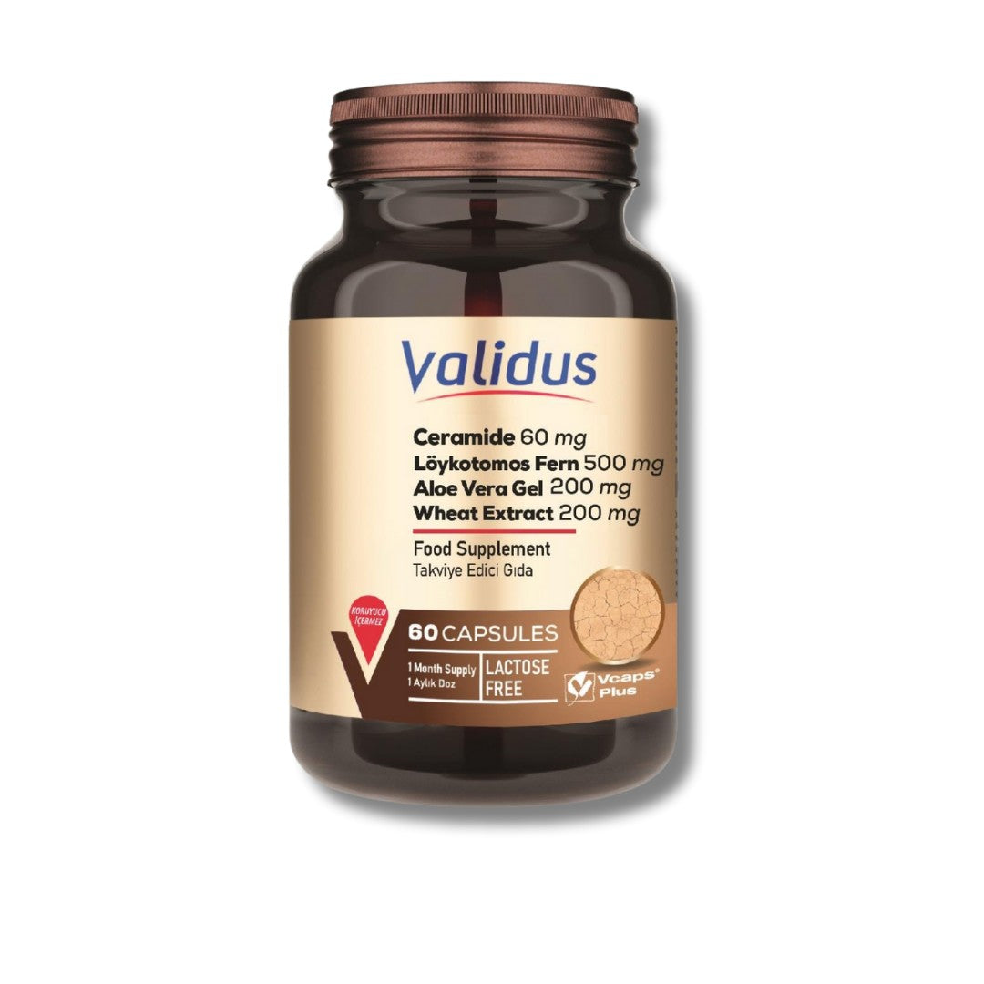 Validus Ceramide 60 mg + Löykotomos Fern 500 mg + Aloe Vera Gel 200 mg + Wheat Extract 200 mg 60 Capsules