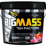 BigJoy Sports Big Mass +GH Factors 3000 Gr - Çilek