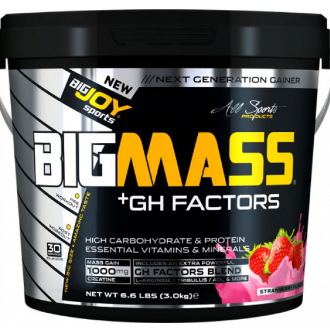 BigJoy Sports Big Mass +GH Factors 3000 Gr - Çilek