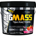 BigJoy Sports Big Mass +GH Factors 1200 Gr - Çilek