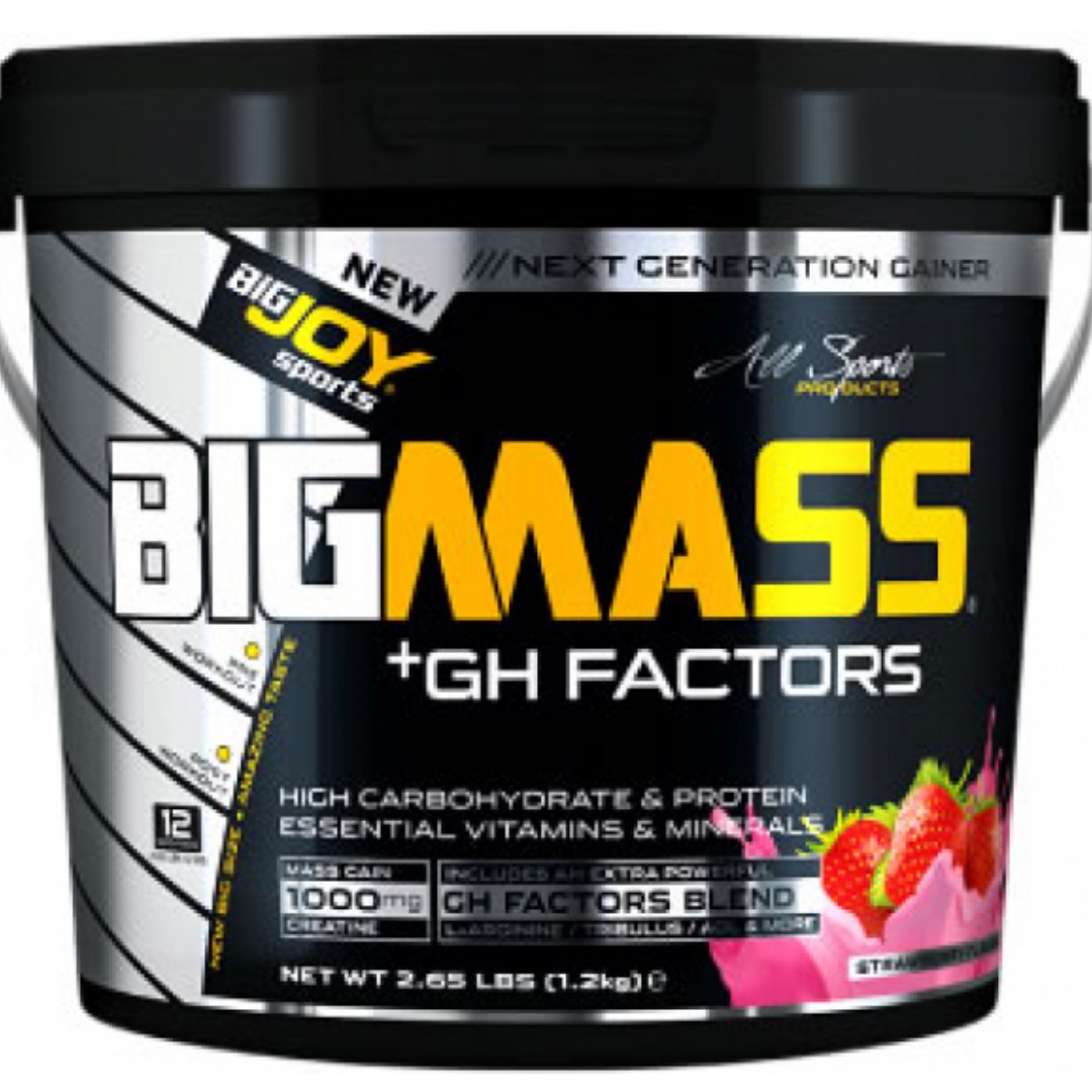 BigJoy Sports Big Mass +GH Factors 1200 Gr - Çilek