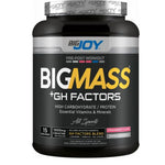 BigJoy Sports Big Mass +GH Factors 1500 Gr - Çilek