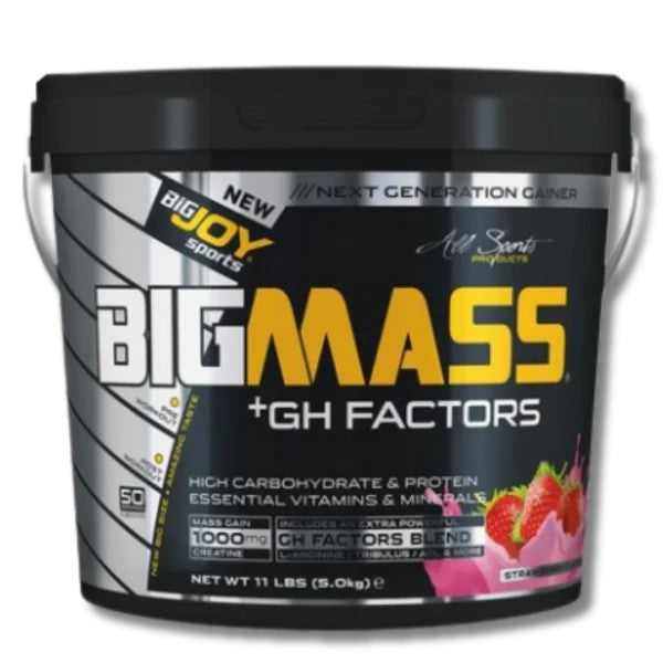 BigJoy Sports Big Mass +GH Factors 5000 Gr - Çikolata